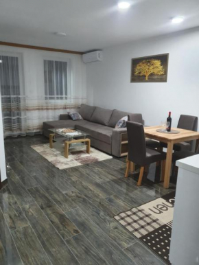 Apartmani Andrejic